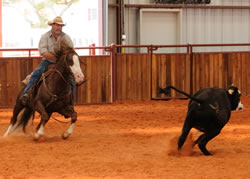 Gardiner Angus Ranch : Cutting Horse Clinic