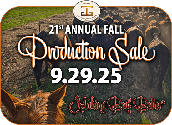 Fall Sale artwork
