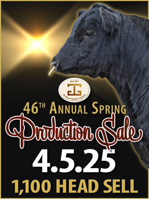 2025 Spring Sale Sale art