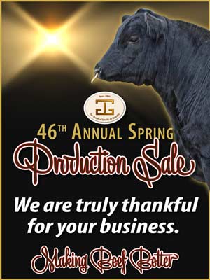 2025 Spring Bull Sale Thank You art