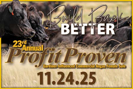 Profit Proven Sale artwork
