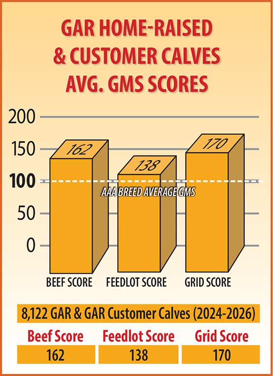 GMS Chart
