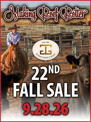 Fall Sale Artwork
