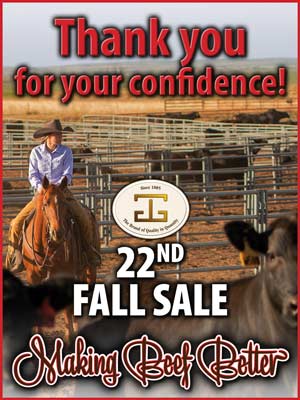 Fall Sale Thank You Artwork