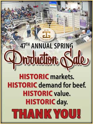 Spring Sale 2026 Thank You art