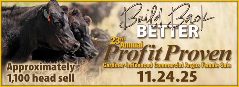 Profit Proven Sale Artwork