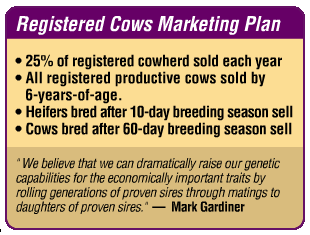 Purple, round-cornered box with gold fill. Graphic reads: Registered Cows Marketing Plan - 25% of registered cowherd sold each year; All registered productive cows sold by 6-years-of-age; Heifers bred after 10-day breeding season sell; Cows bred after 60-day breeding season sell. "We believe that we can dramatically raise our genetic capabilities for the economically important traits by rolling generations of proven sires through matings to daughters fo proven sires." --Mark Gardiner
