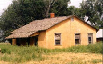 A modest, single-story home, painted prairie yellow, with a cluster of trees behind it and overgrown prarie grass in front of it.