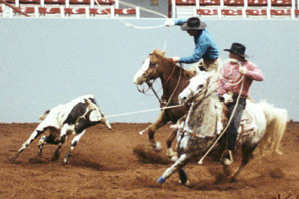 Greg and Mark roping a calf