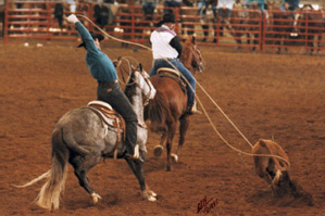 Greg and Mark roping a calf