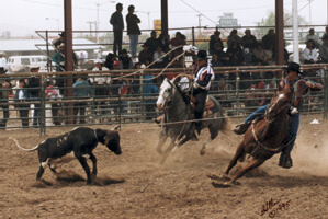 Greg and Mark roping a calf