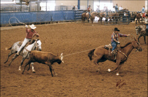 Greg and Mark roping a calf